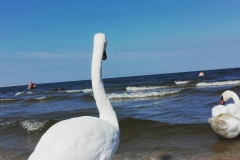 IMG_20160828_215340