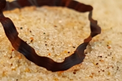 piasek 2